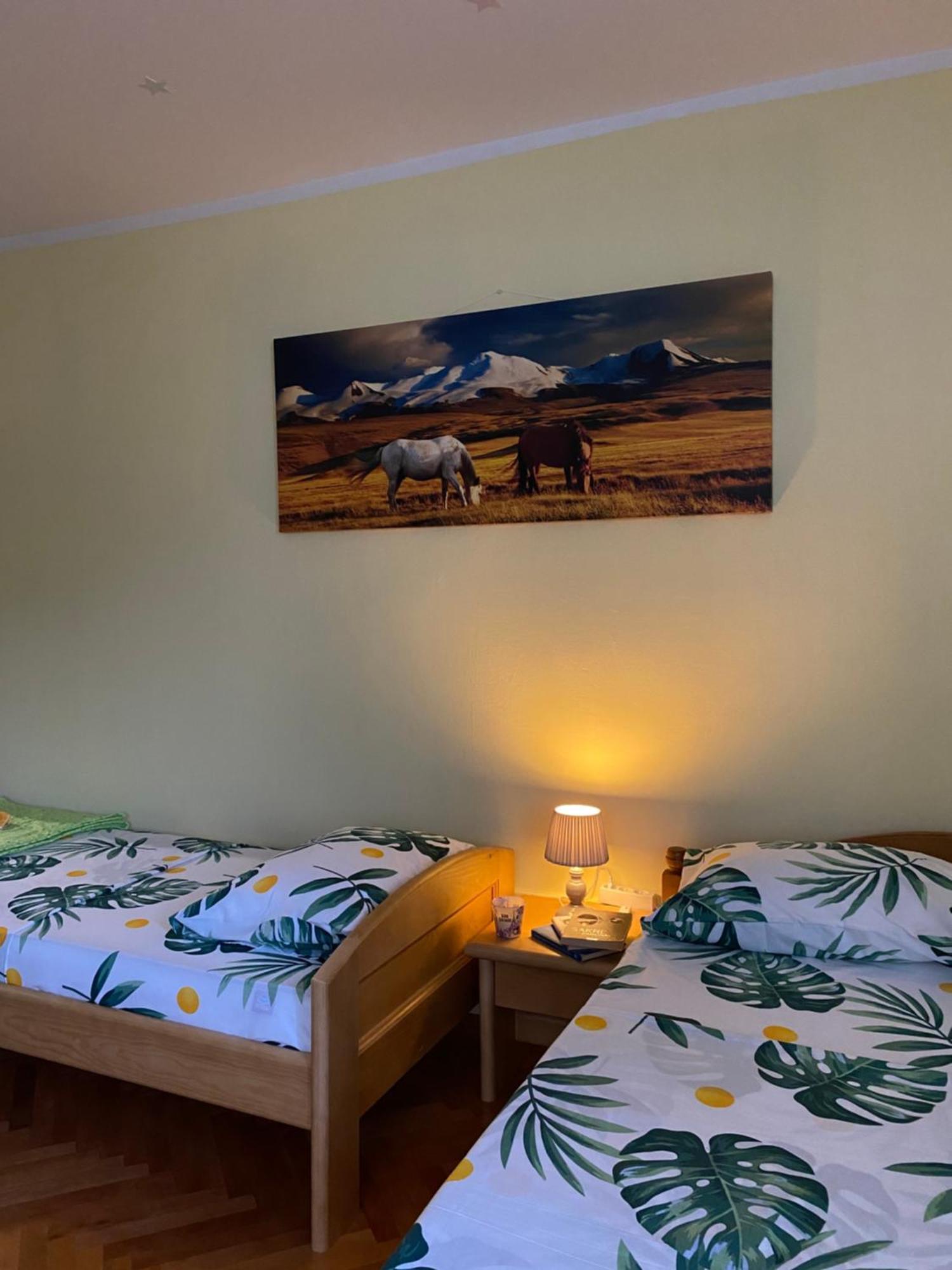 Apartman Sara Plužine Buitenkant foto