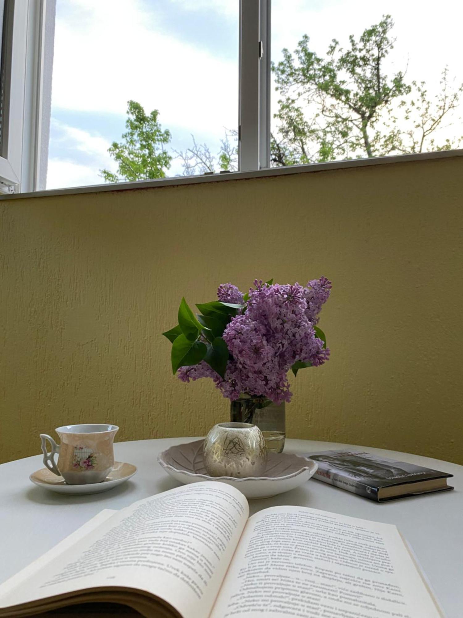 Apartman Sara Plužine Buitenkant foto